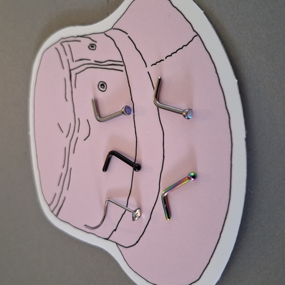 Assorted Nose Rings